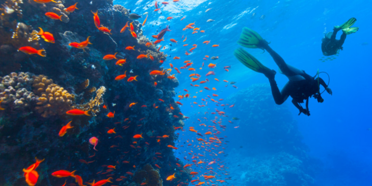 Plongée sous marine