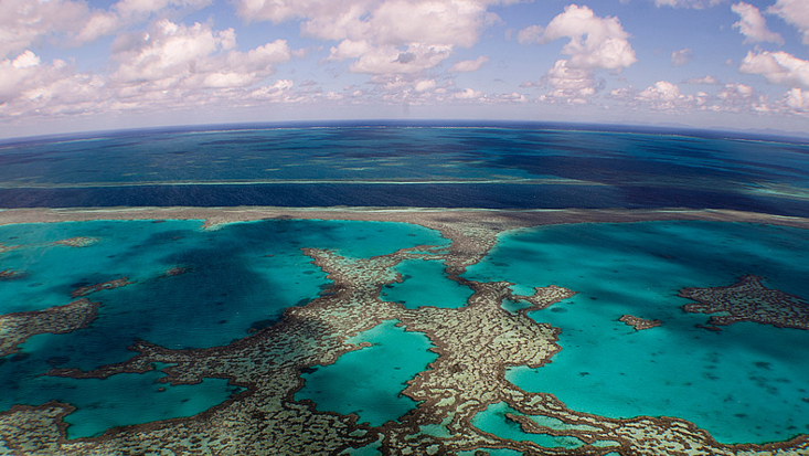 Grande barriere de corail australie