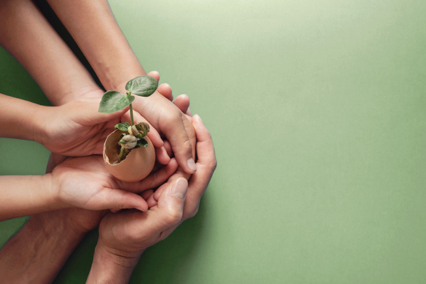 Capture d’écran 2024-11-26 141509 Ecoresponsable