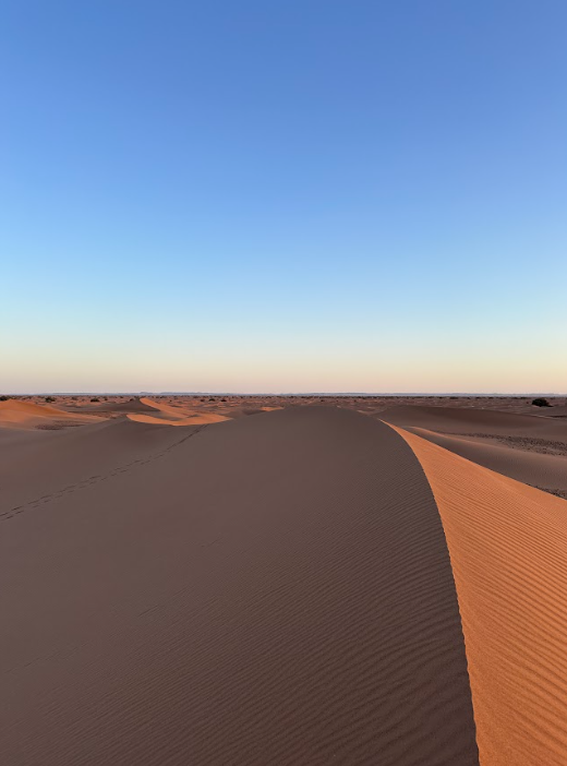 desert marocain