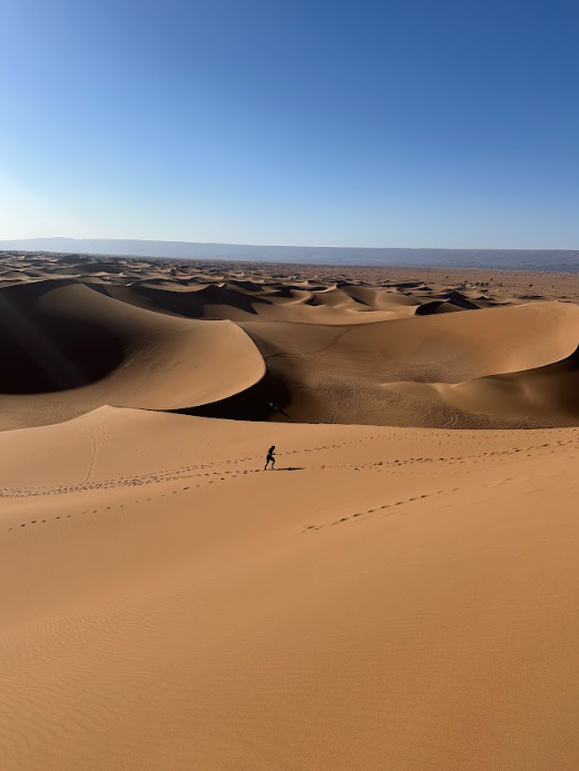 desert marocain