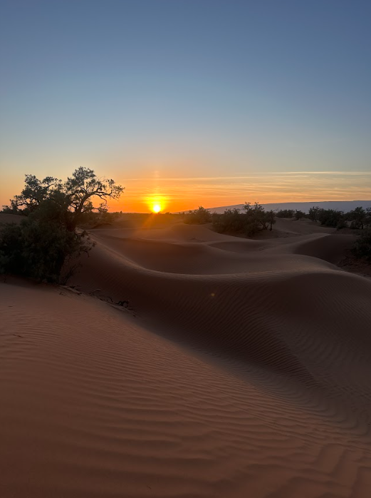 desert marocain