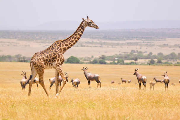 Kenya