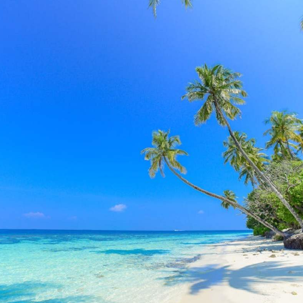 Capture d’écran 2025-06-11 105141 PLage